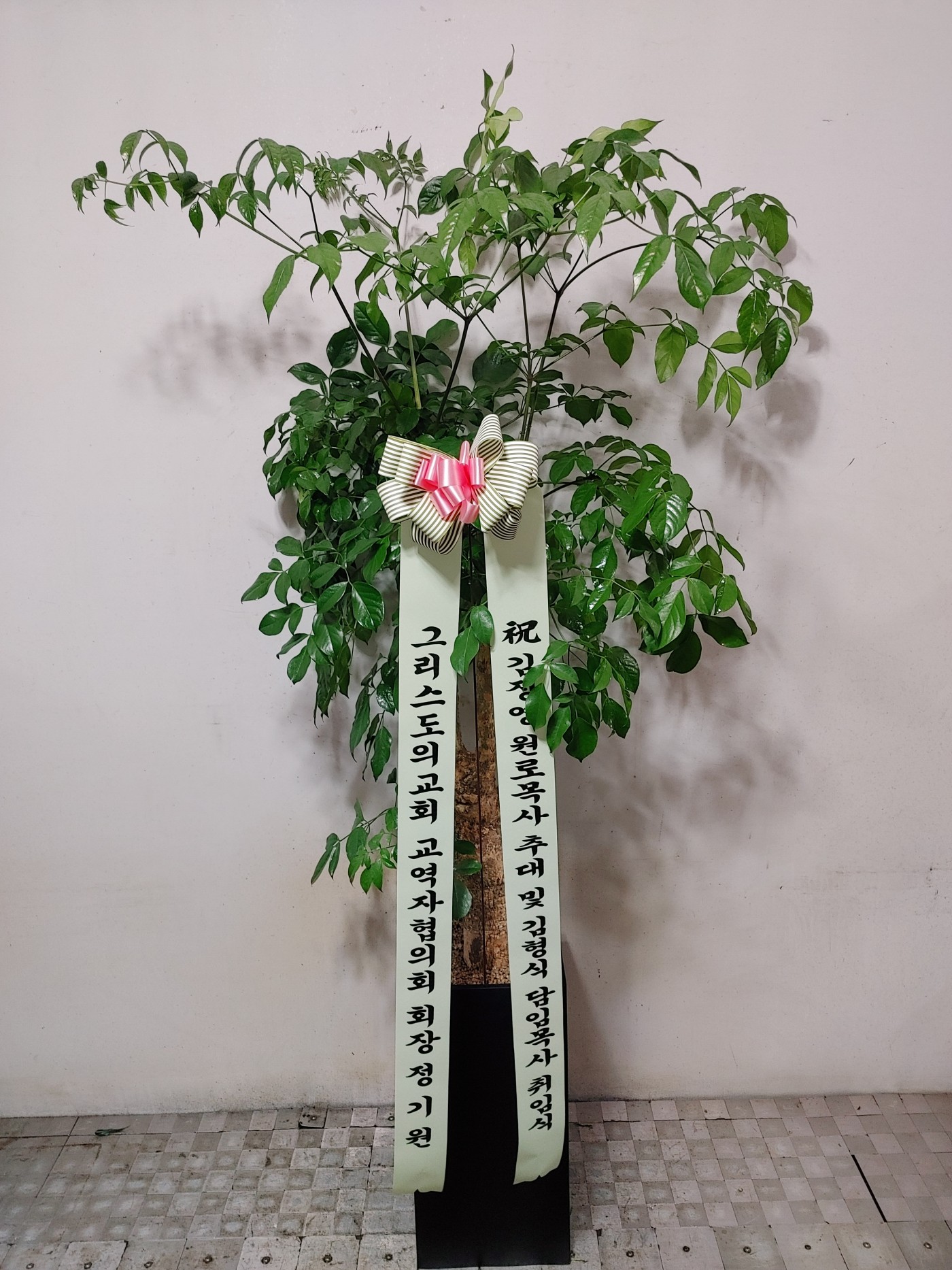 54ad4341060da18c7c2b28568216d228_1763705